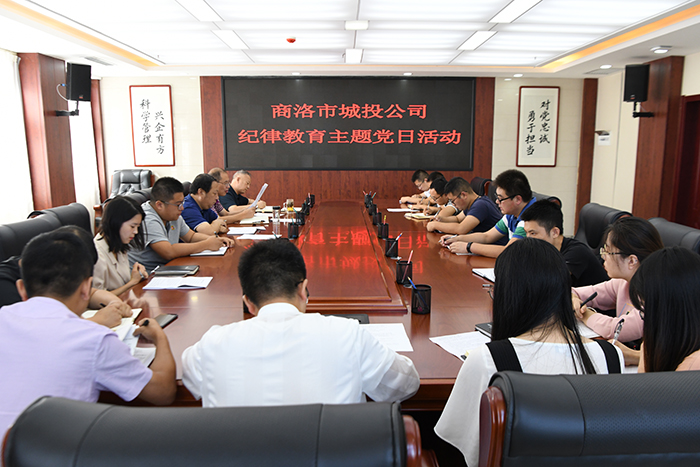市城投公司开展&ldquo;明纪律、知敬畏、存戒惧、守底线、做表率&rdquo;纪律教育学习活动