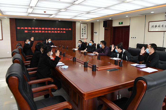 党建引领谋发展  逐梦前行谱新篇 &mdash;&mdash;市城投公司党总支所属各支部召开党员大会选举产生第一届支委成员