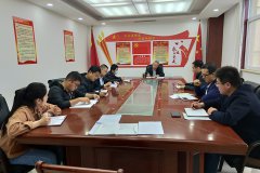 公司第二支部开展&ldquo;戴党徽、亮身份、亮标准、亮承诺、展先锋&rdquo;主题党日活动