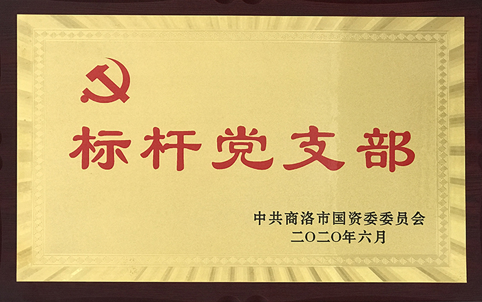 市城投公司第一党支部荣获市国资委党委 &ldquo;标杆党支部&rdquo;称号