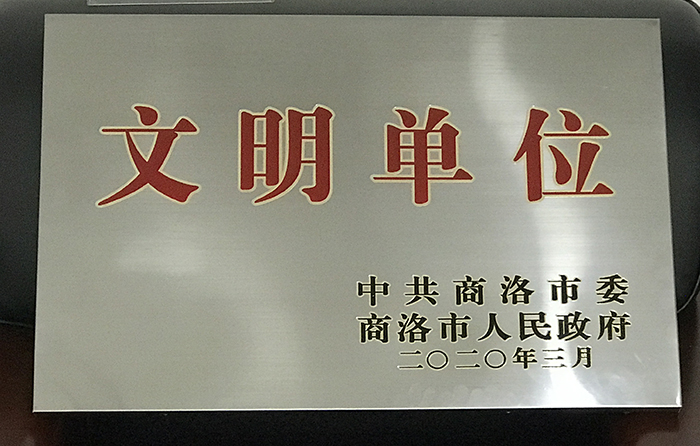 市城投公司荣获2019年度&ldquo;市级文明单位&rdquo;称号