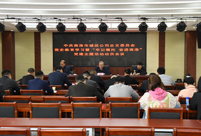 公司党总支召开党史学习教育暨&ldquo;牢记嘱托、奋进商洛&rdquo;党建主题活动动员会议