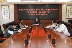 公司第三支部开展&ldquo;牢记嘱托&middot;奋进商洛&rdquo;主题党日系列活动